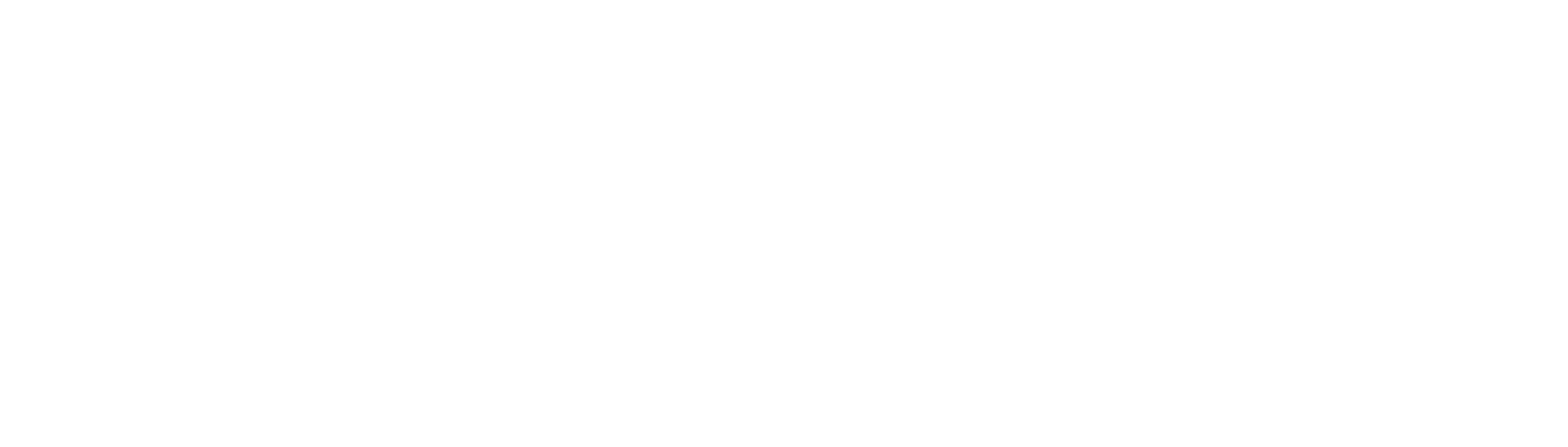randevuasistan
